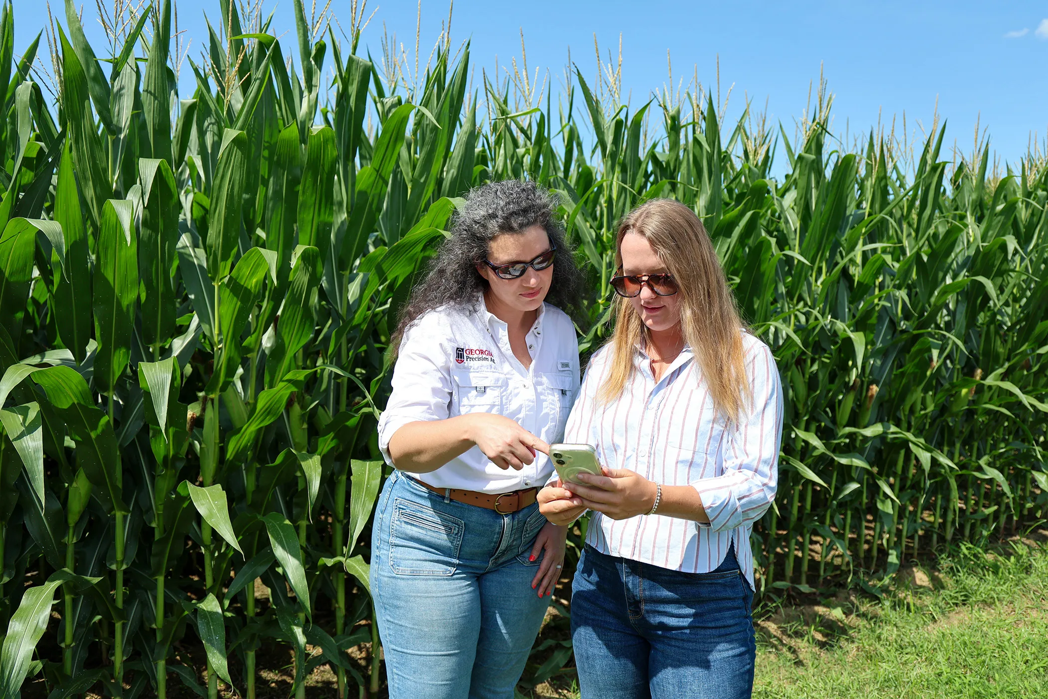 Two students examine data on an app while standing in a field of corn.